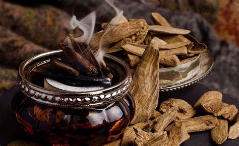 oud meaning in perfume|how does oud smell like.